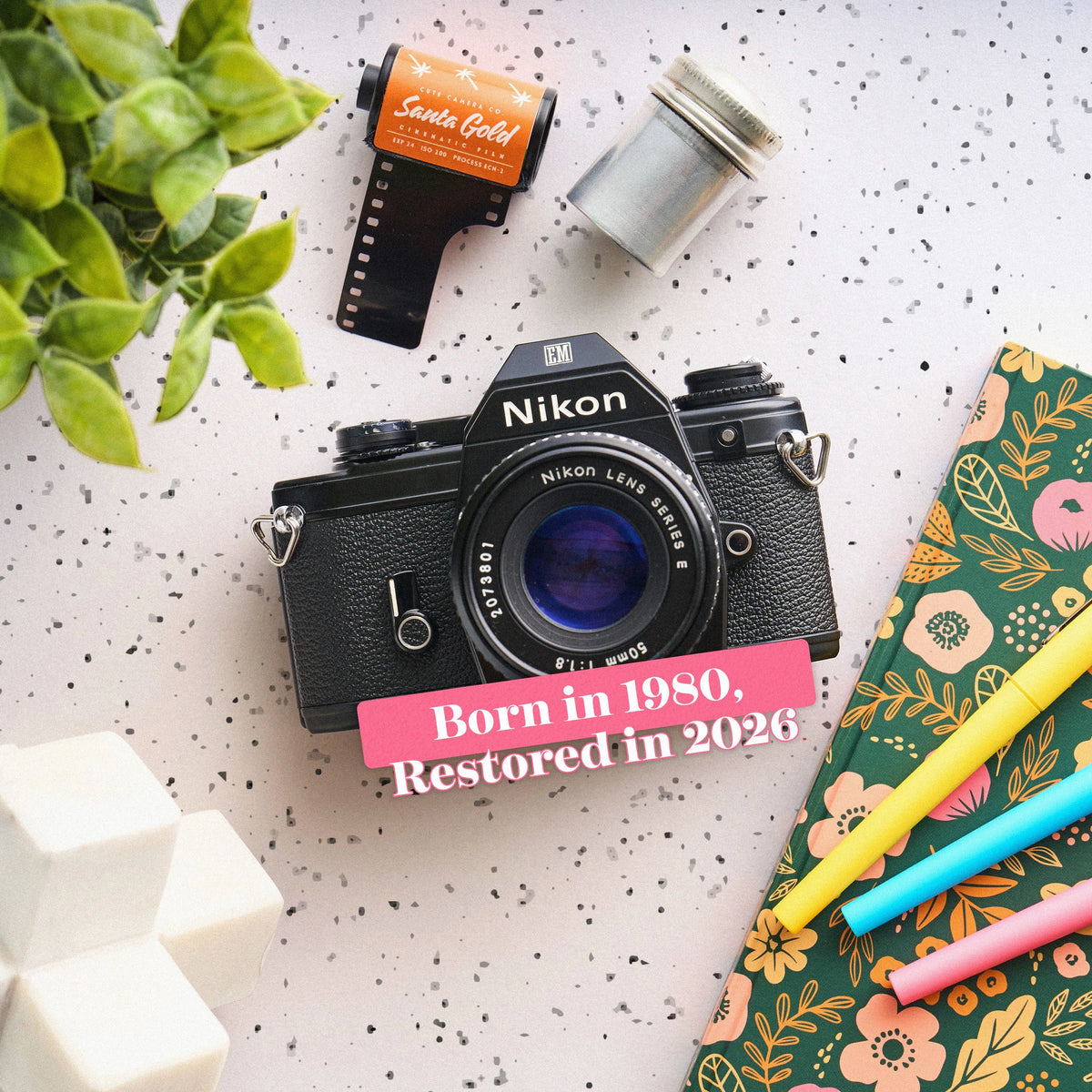 restored Nikon EM | 35mm Film Camera 
