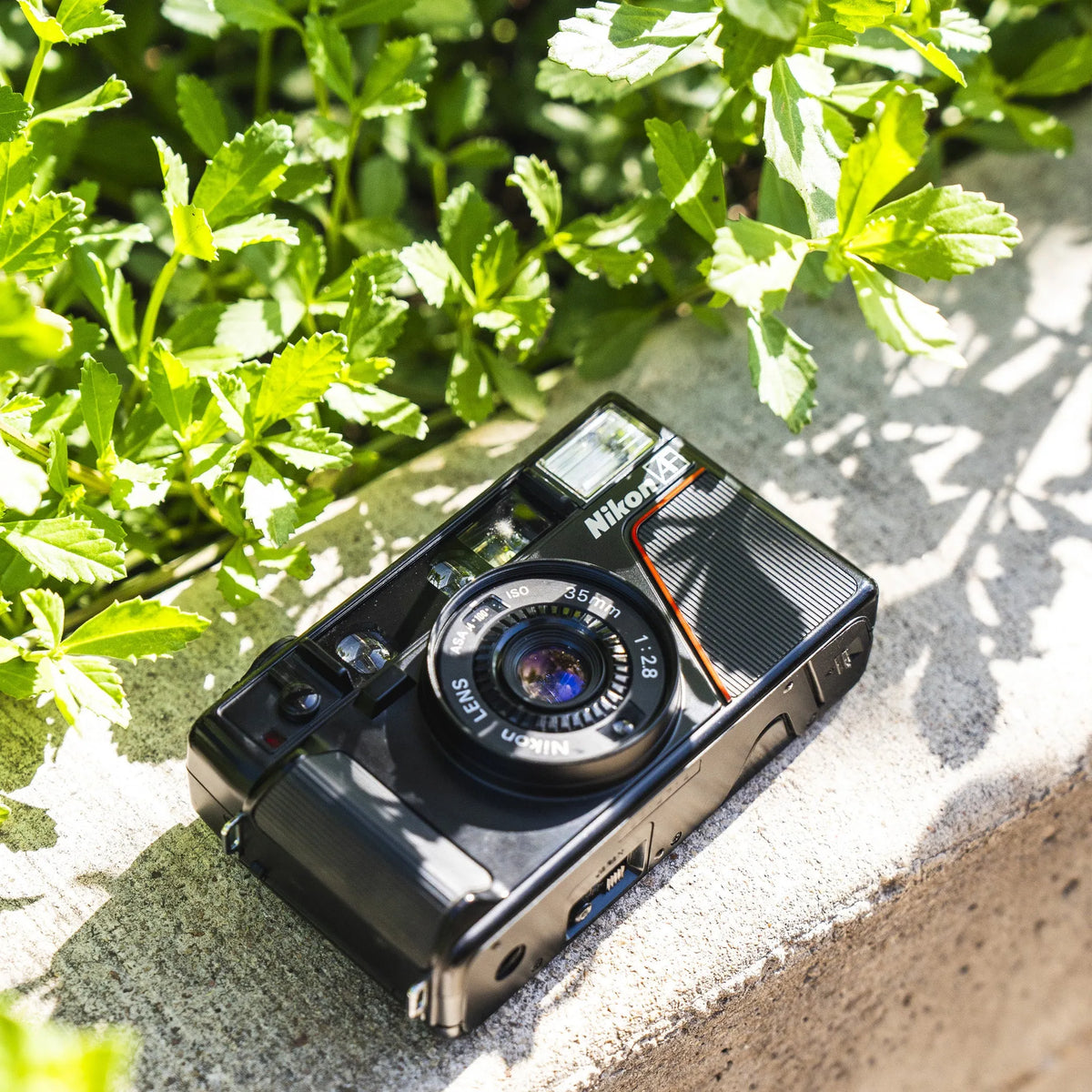 Nikon L35AF 35mm Point and Shoot Camera