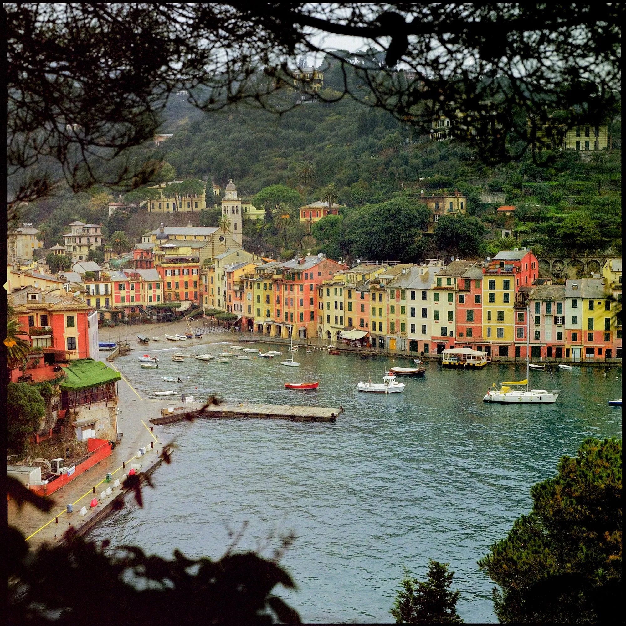 Kodak Portra 800 - 35mm Color Film - Cute Camera Co.