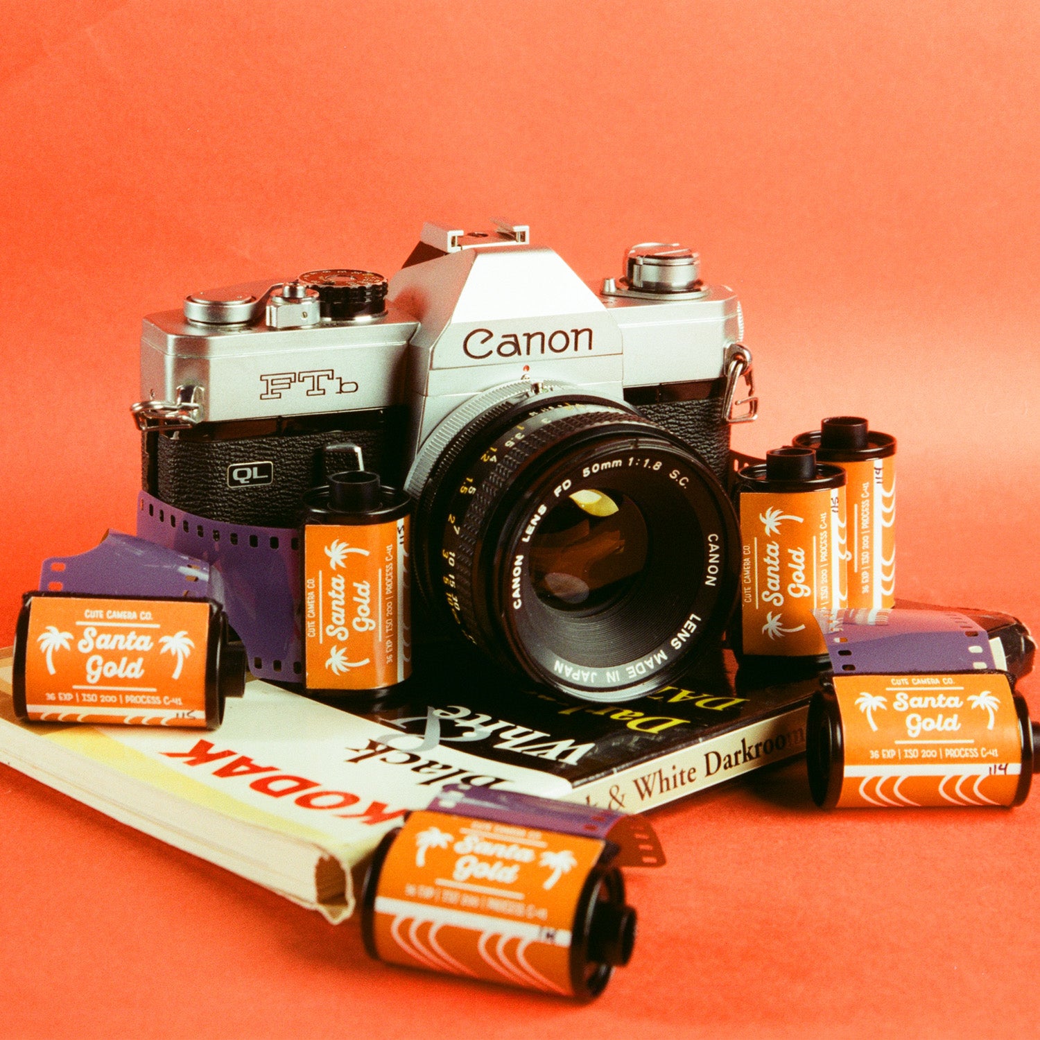 Santa Gold - 35mm Color Film