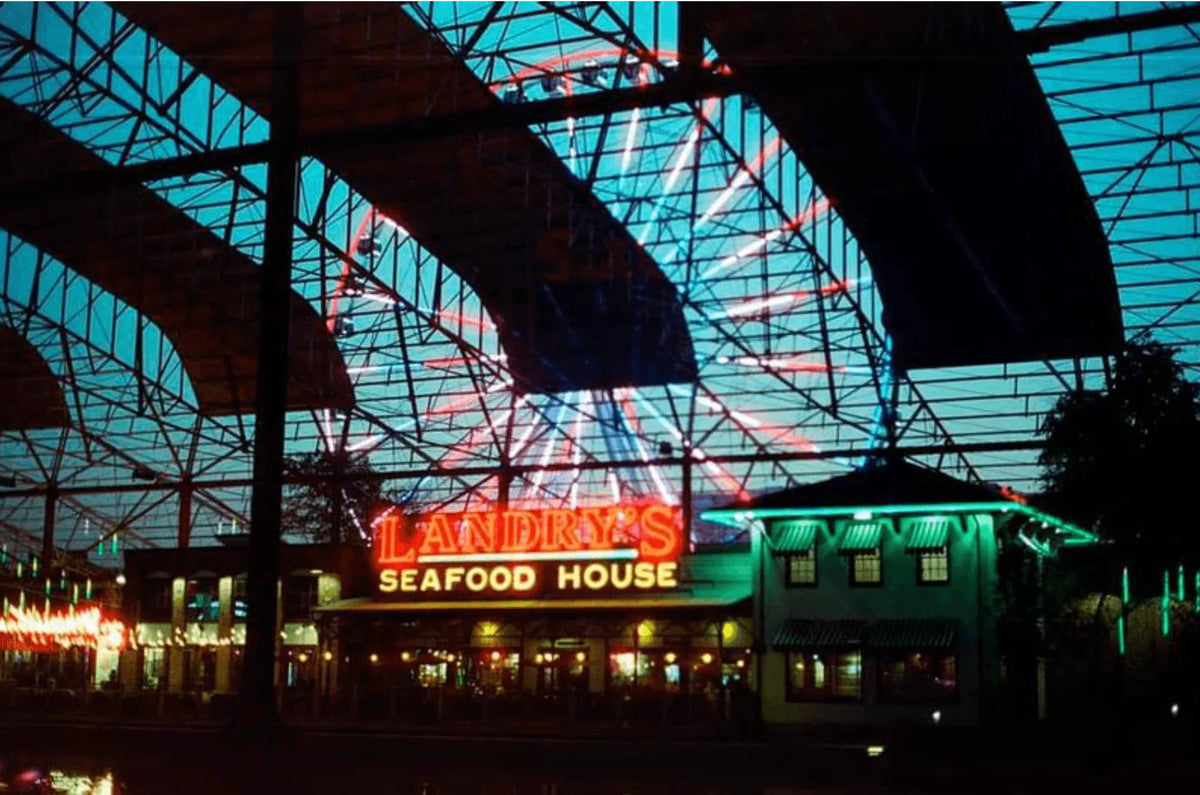 CineStill 800T - 35mm Color Film - Cute Camera Co.