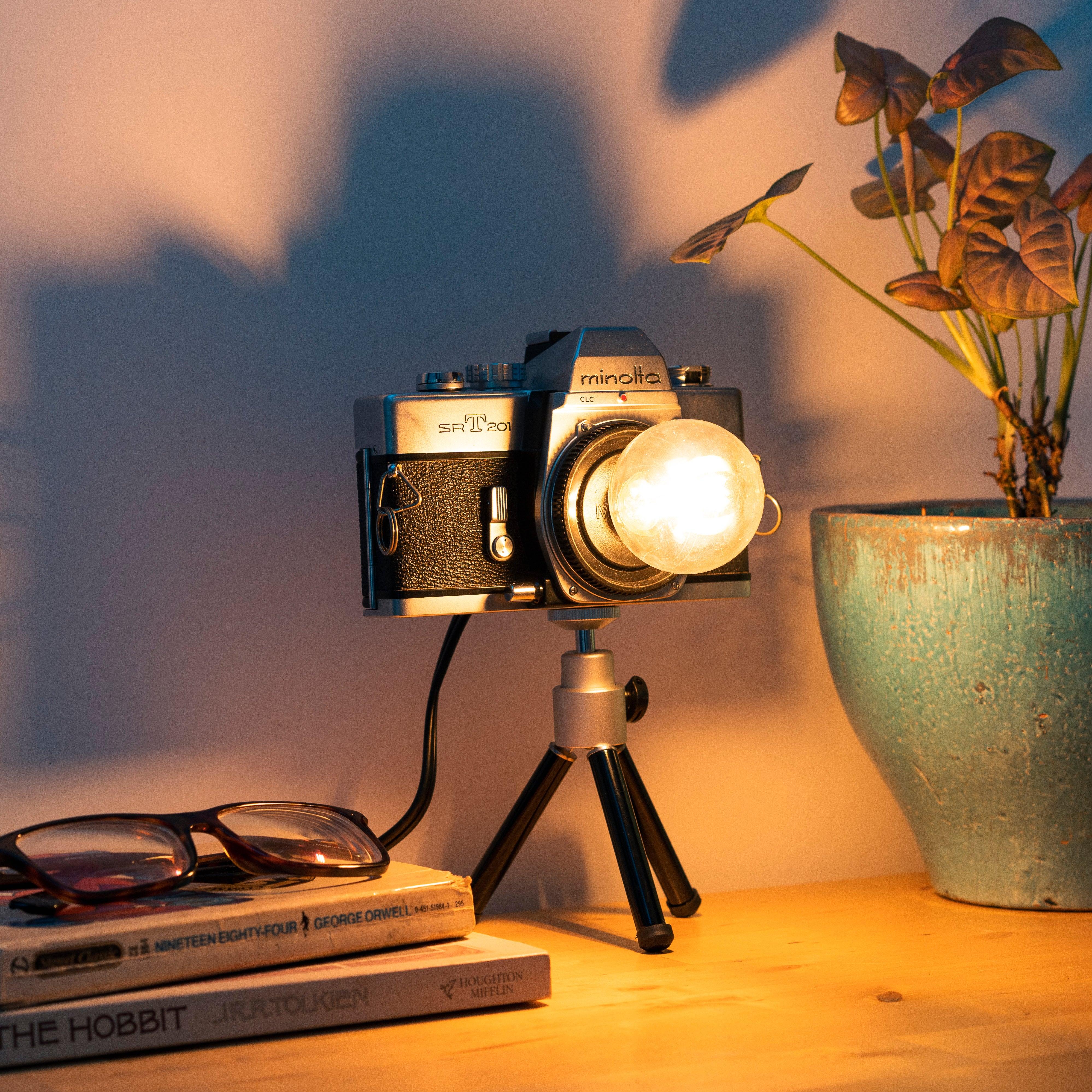 Cute Camera Co. Desk Lamp - Cute Camera Co.
