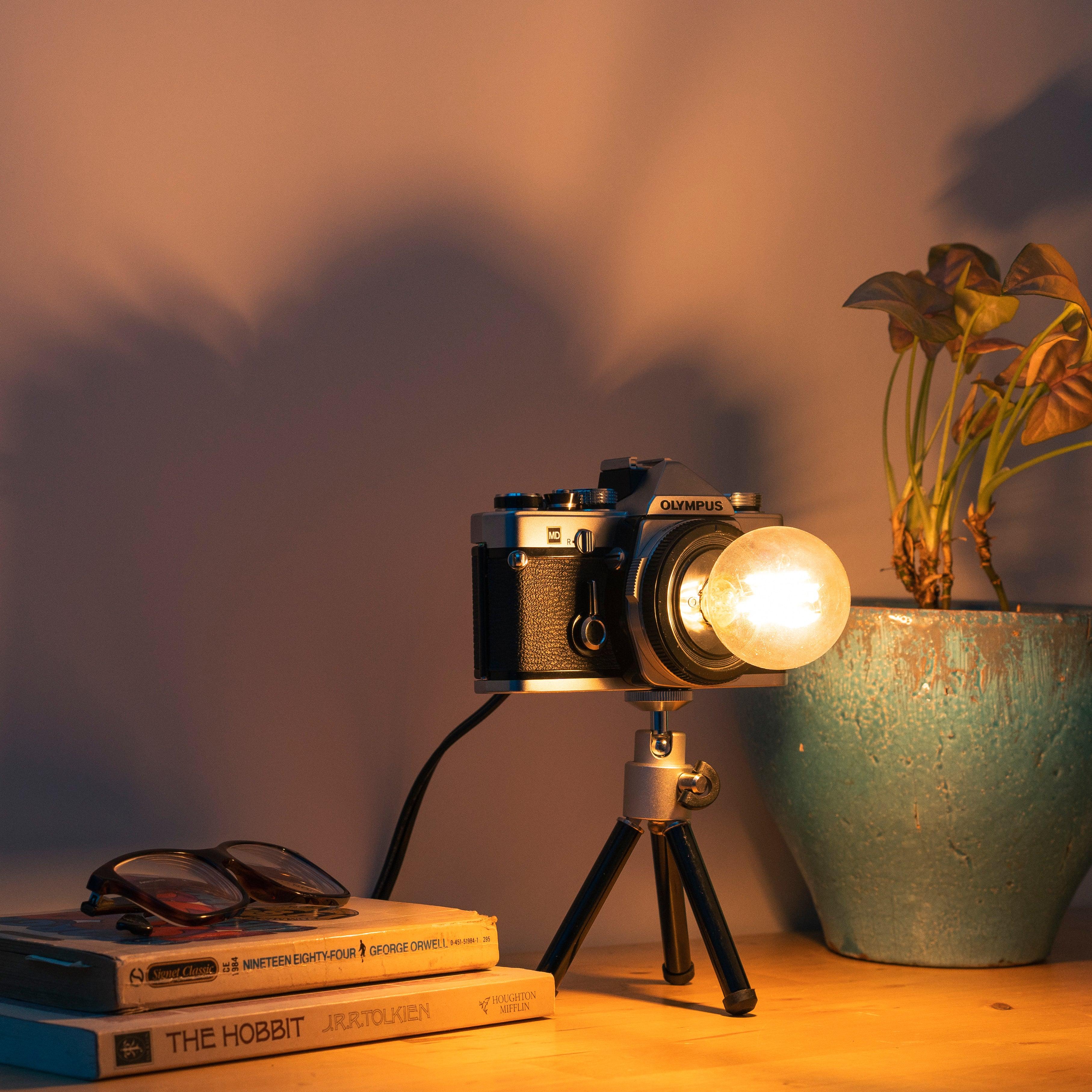 Cute Camera Co. Desk Lamp - Cute Camera Co.