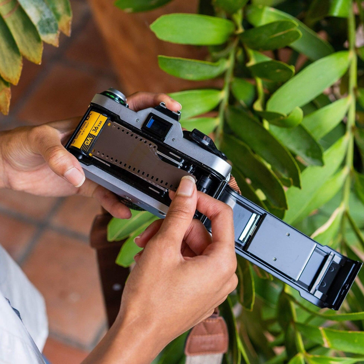 Canon AE1 Program 35mm Film Camera